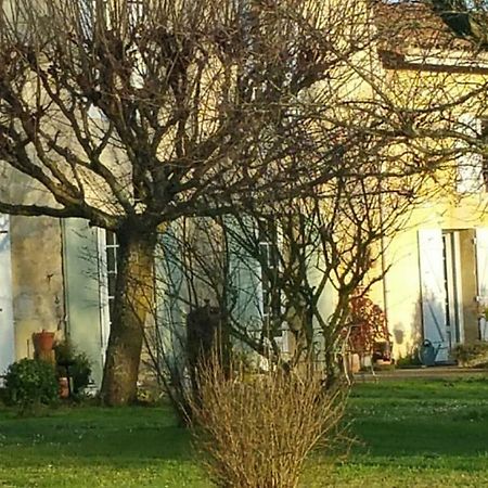 Gite Entre Bordeaux Et Saint-Emilion Génissac Dış mekan fotoğraf