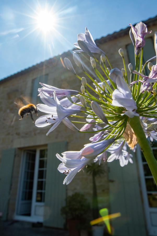 Gite Entre Bordeaux Et Saint-Emilion Génissac Dış mekan fotoğraf